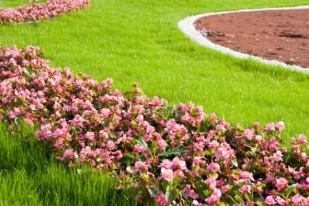 Seasonal Color: How This Service Can Help Keep Your Home Or Business Bright And Beautiful All Year Round