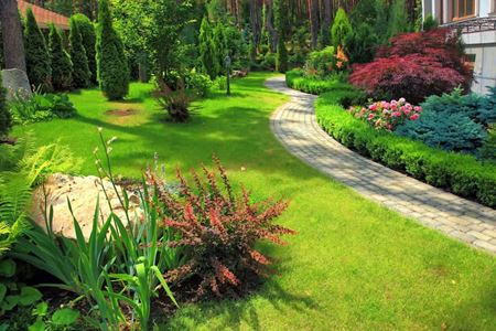 Landscape Design & Installation