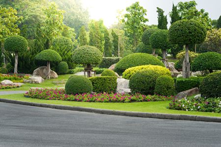 Landscaping