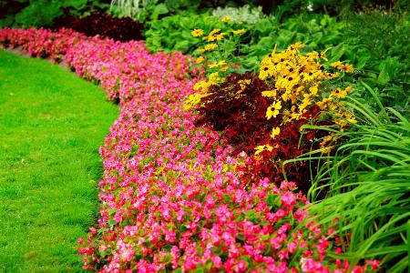 Commercial Seasonal Color / Plant Installation