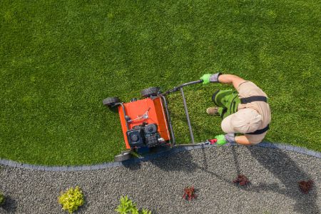 Residential Aeration / Overseeding