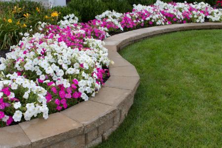 Residential Seasonal Color / Plant Installation